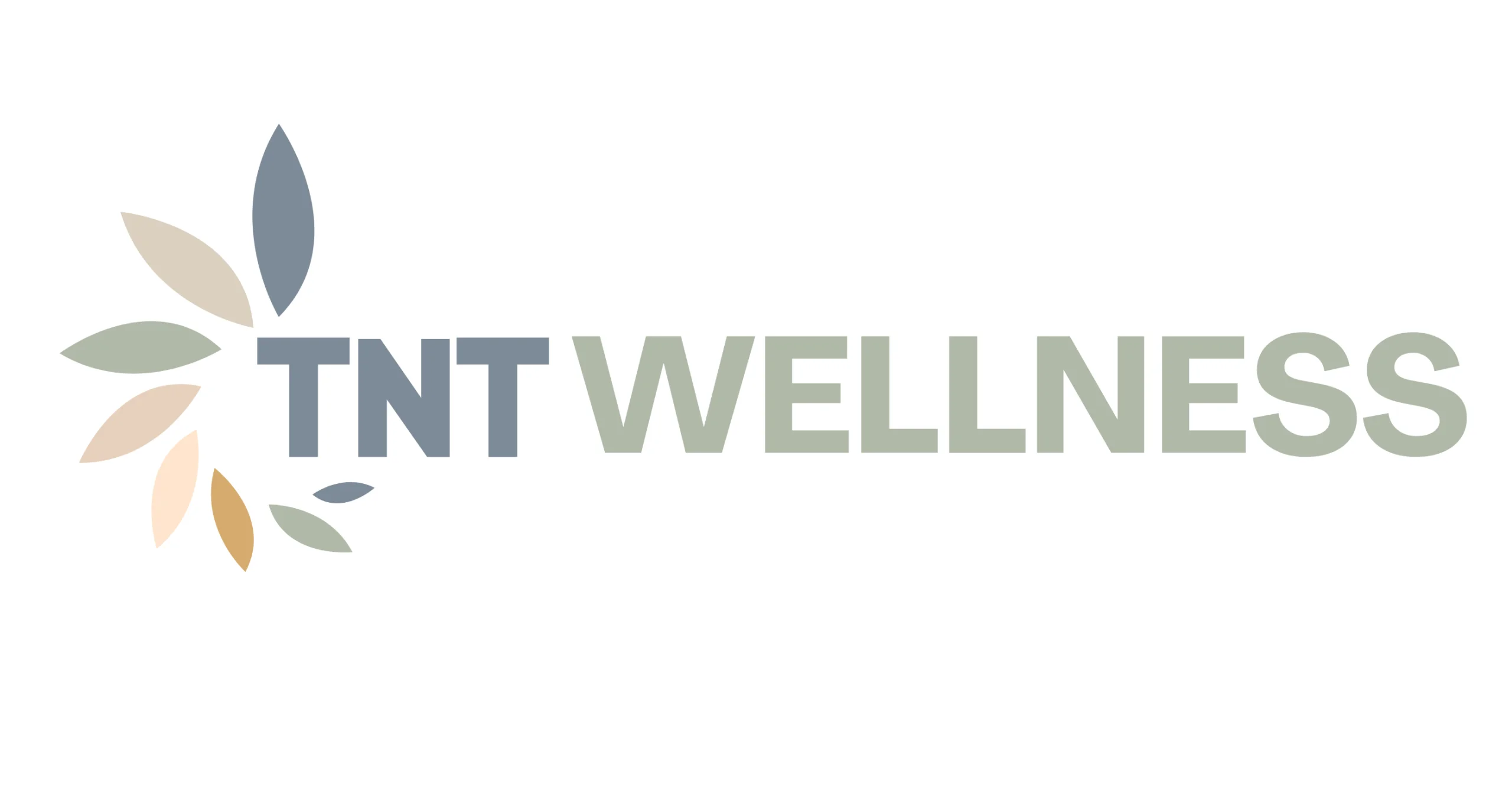 TNT Wellness Hormone Therapy Clinic logo